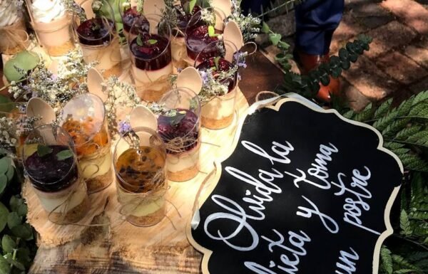 Categoría Galería clasificados Eventoco