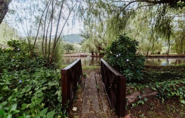 Categoría Galería clasificados Eventoco