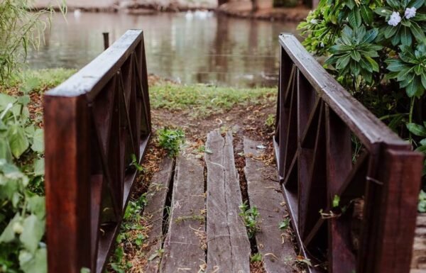 Categoría Galería clasificados Eventoco