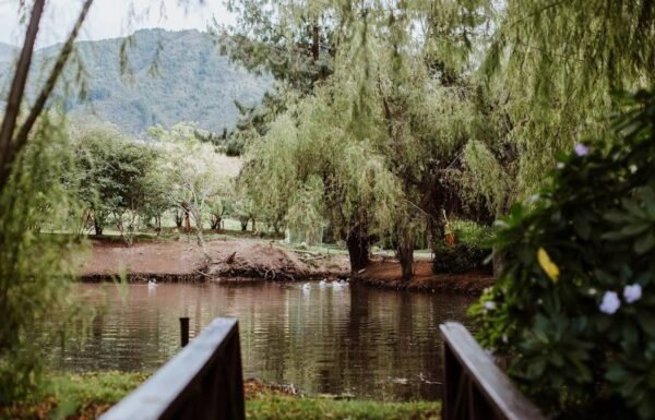 Categoría Galería clasificados Eventoco
