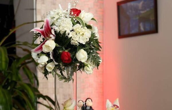 Category Vendor Gallery anuncios3