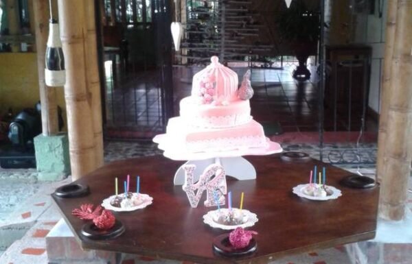 Category Vendor Gallery anuncios3