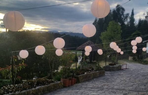 Categoría Galería clasificados Eventoco