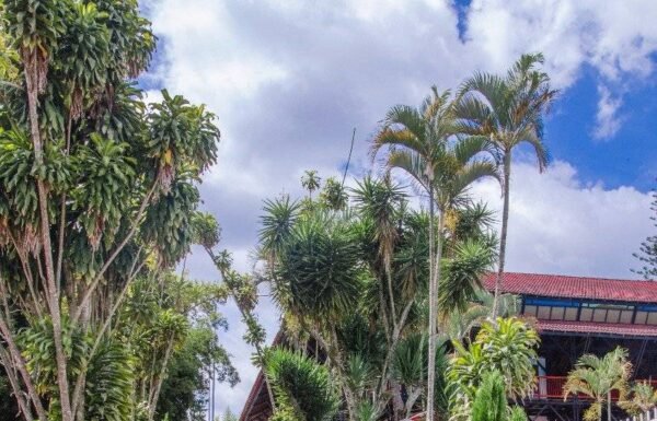 Categoría Galería clasificados anuncios