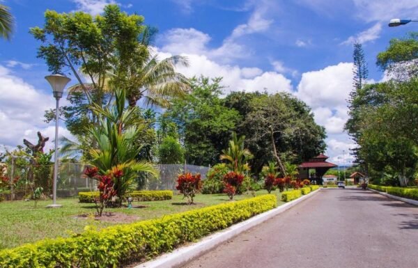 Category Vendor Gallery anuncios