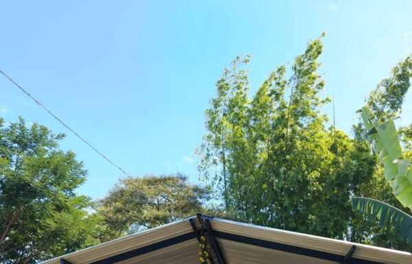 La Siembra Restaurante