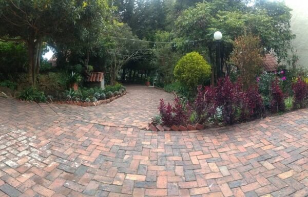 Categoría Galería clasificados Eventoco