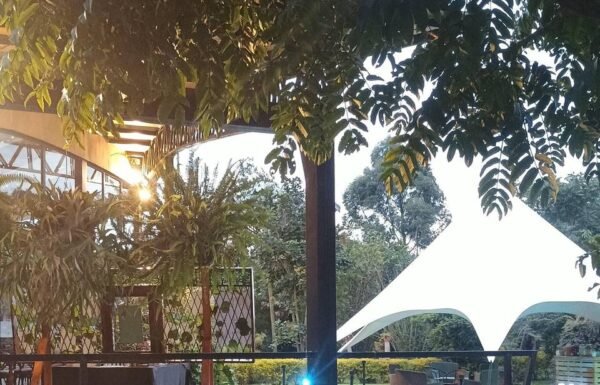 Categoría Galería clasificados Eventoco