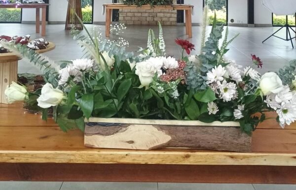 Categoría Galería clasificados Eventoco