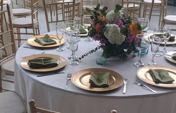 Categoría Galería clasificados Eventoco