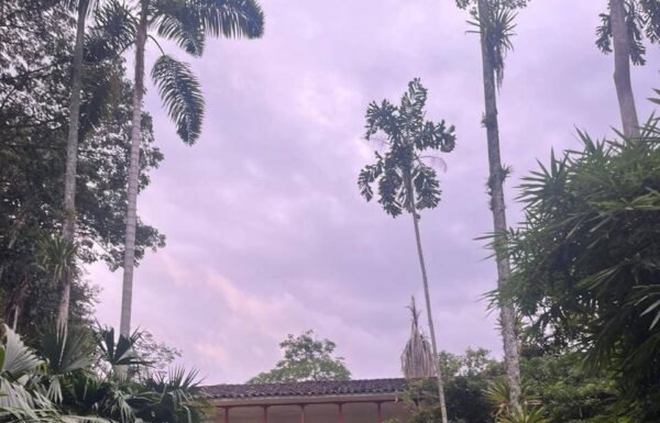 Categoría Galería clasificados anuncios