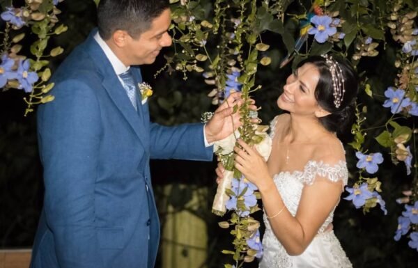 Category Vendor Gallery anuncios3