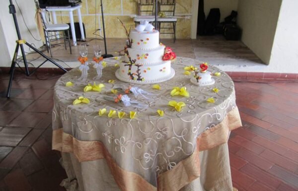 Categoría Galería clasificados Eventoco