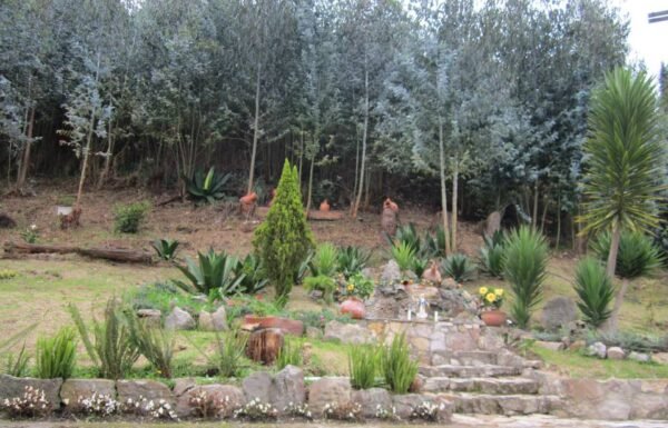 Categoría Galería clasificados Eventoco