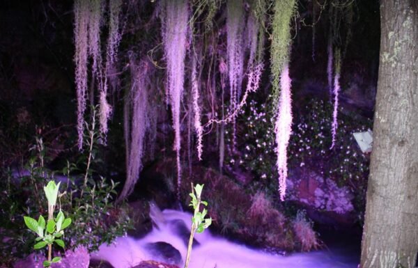 Hacienda Casa Xiegua