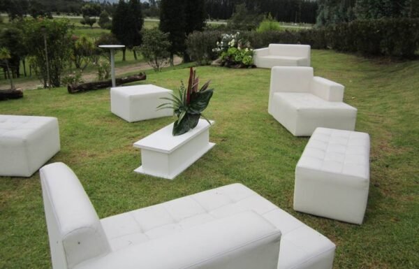 Categoría Galería clasificados Eventoco