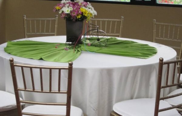 Categoría Galería clasificados Eventoco