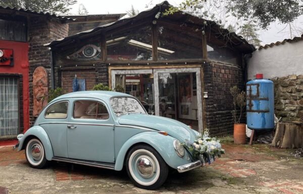 Categoría Galería clasificados Eventoco