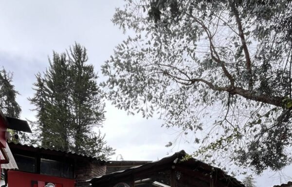 Categoría Galería clasificados Eventoco