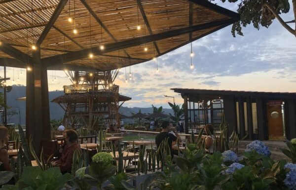 Finca Del Café