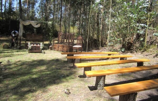 Categoría Galería clasificados Eventoco