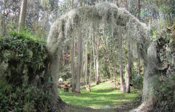 Categoría Galería clasificados Eventoco