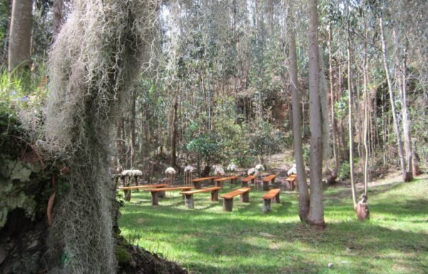 Categoría Galería clasificados Eventoco