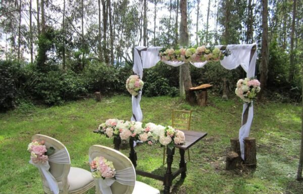 Categoría Galería clasificados Eventoco