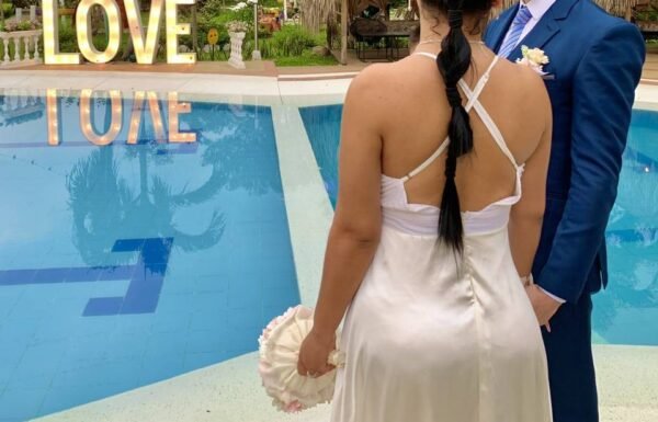 Category Vendor Gallery anuncios