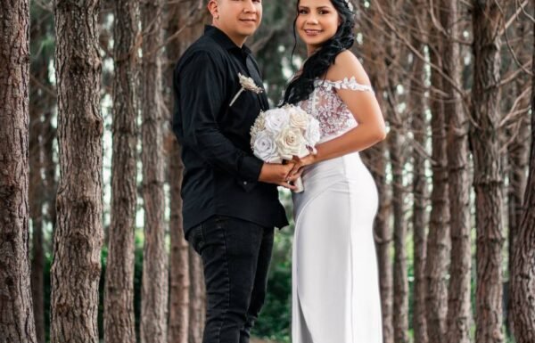 Category Vendor Gallery anuncios3