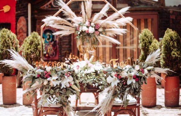 Categoría Galería clasificados Eventoco