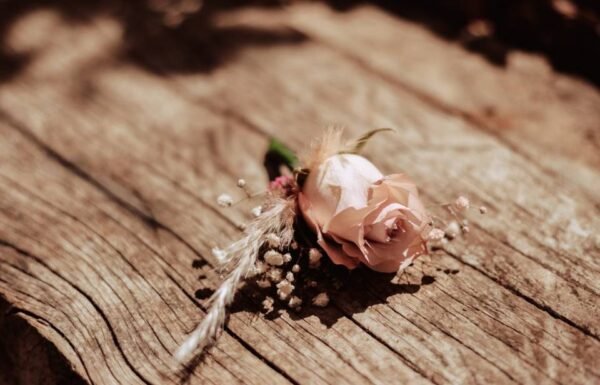 Categoría Galería clasificados Eventoco