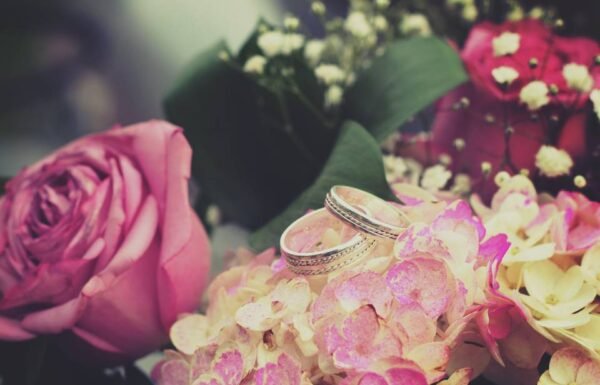 Category Vendor Gallery anuncios3