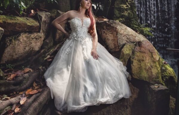 Categoría Galería clasificados Eventoco