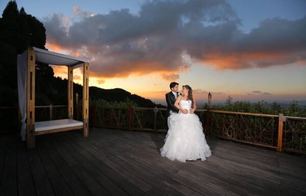 Category Vendor Gallery anuncios3