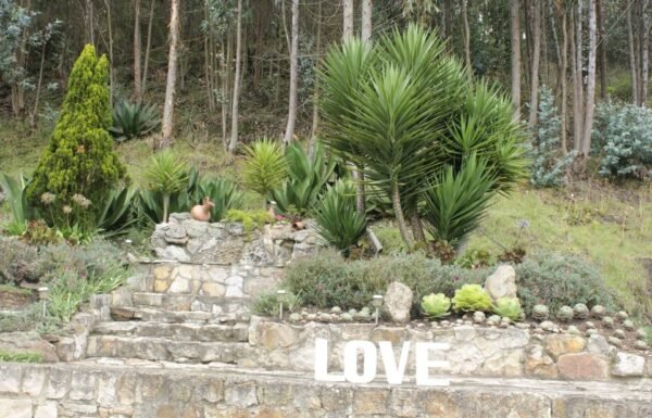 Categoría Galería clasificados Eventoco