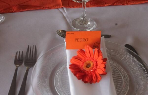 Categoría Galería clasificados Eventoco