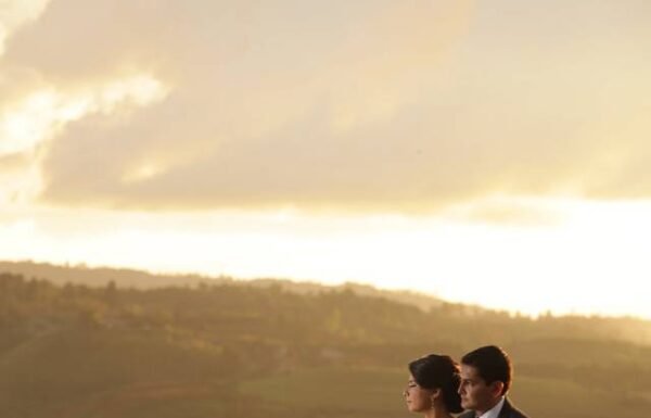 Category Vendor Gallery anuncios3