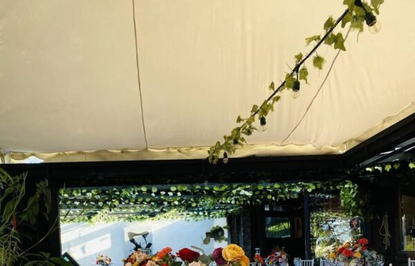 Categoría Galería clasificados Eventoco