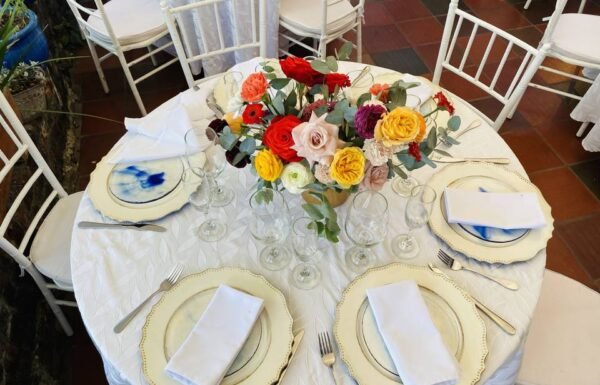 Categoría Galería clasificados Eventoco