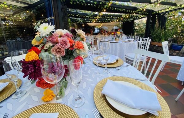 Categoría Galería clasificados Eventoco