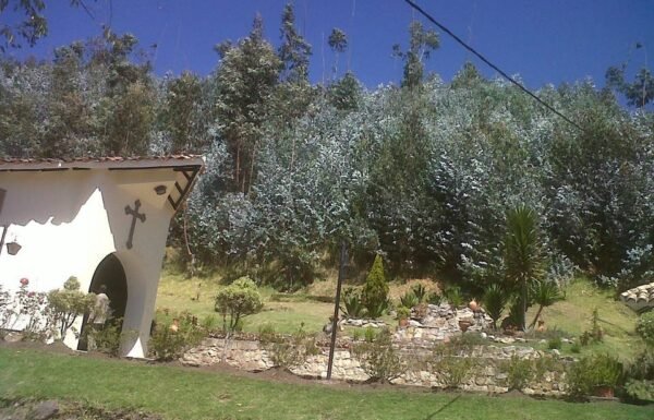 Categoría Galería clasificados Eventoco