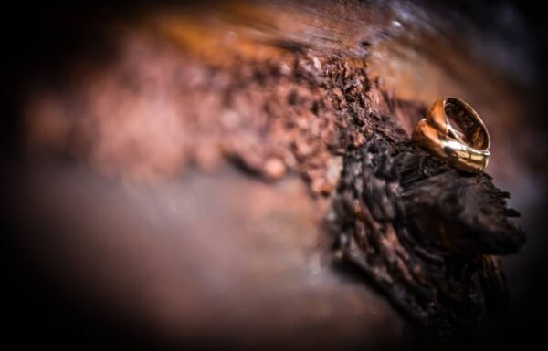 Categoría Galería clasificados Eventoco