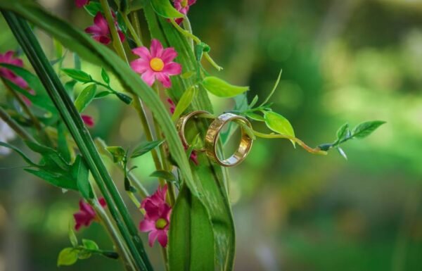 Categoría Galería clasificados Eventoco