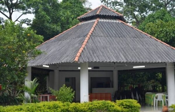 Category Vendor Gallery anuncios