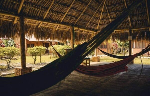 Category Vendor Gallery anuncios