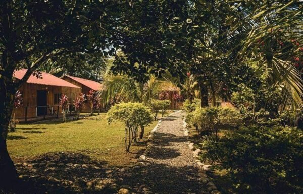 Category Vendor Gallery anuncios