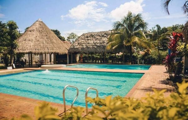 Category Vendor Gallery anuncios