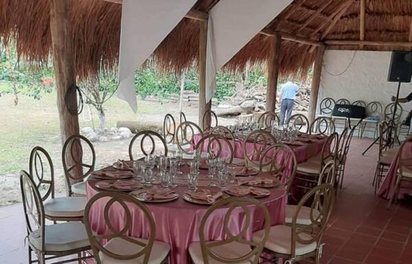 Category Vendor Gallery anuncios