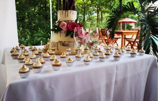 Category Vendor Gallery anuncios